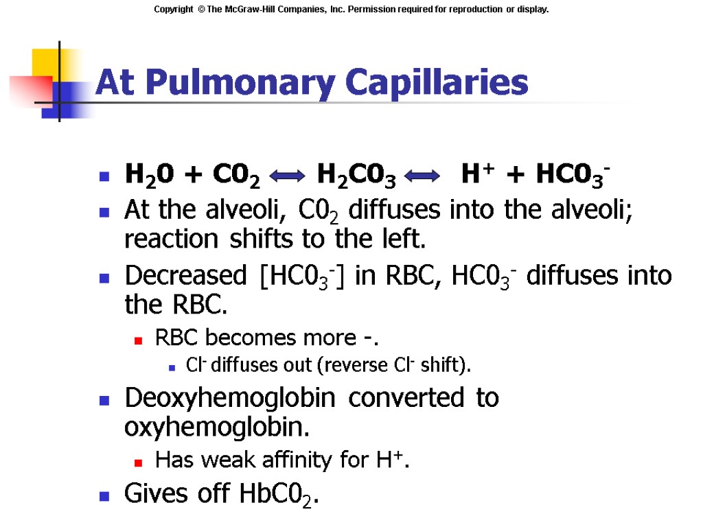 At Pulmonary Capillaries H20 + C02 H2C03 H+ + HC03- At the alveoli, C02